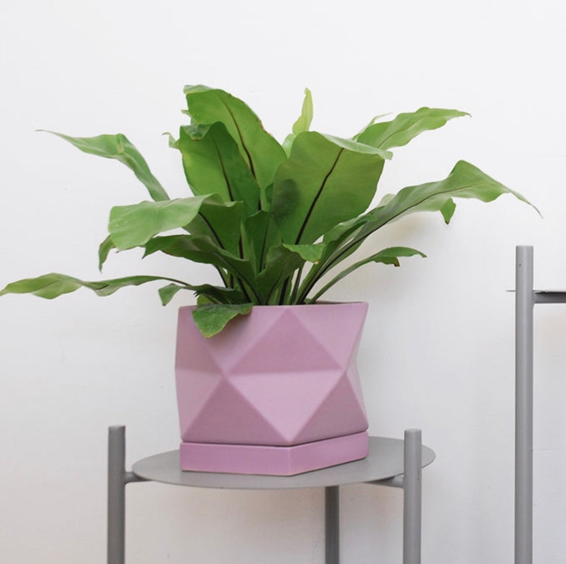 Medium Pentagonal Planter W/Tray